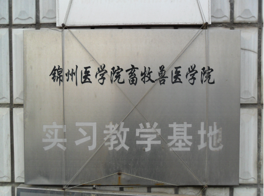 合作加盟(2)36.png